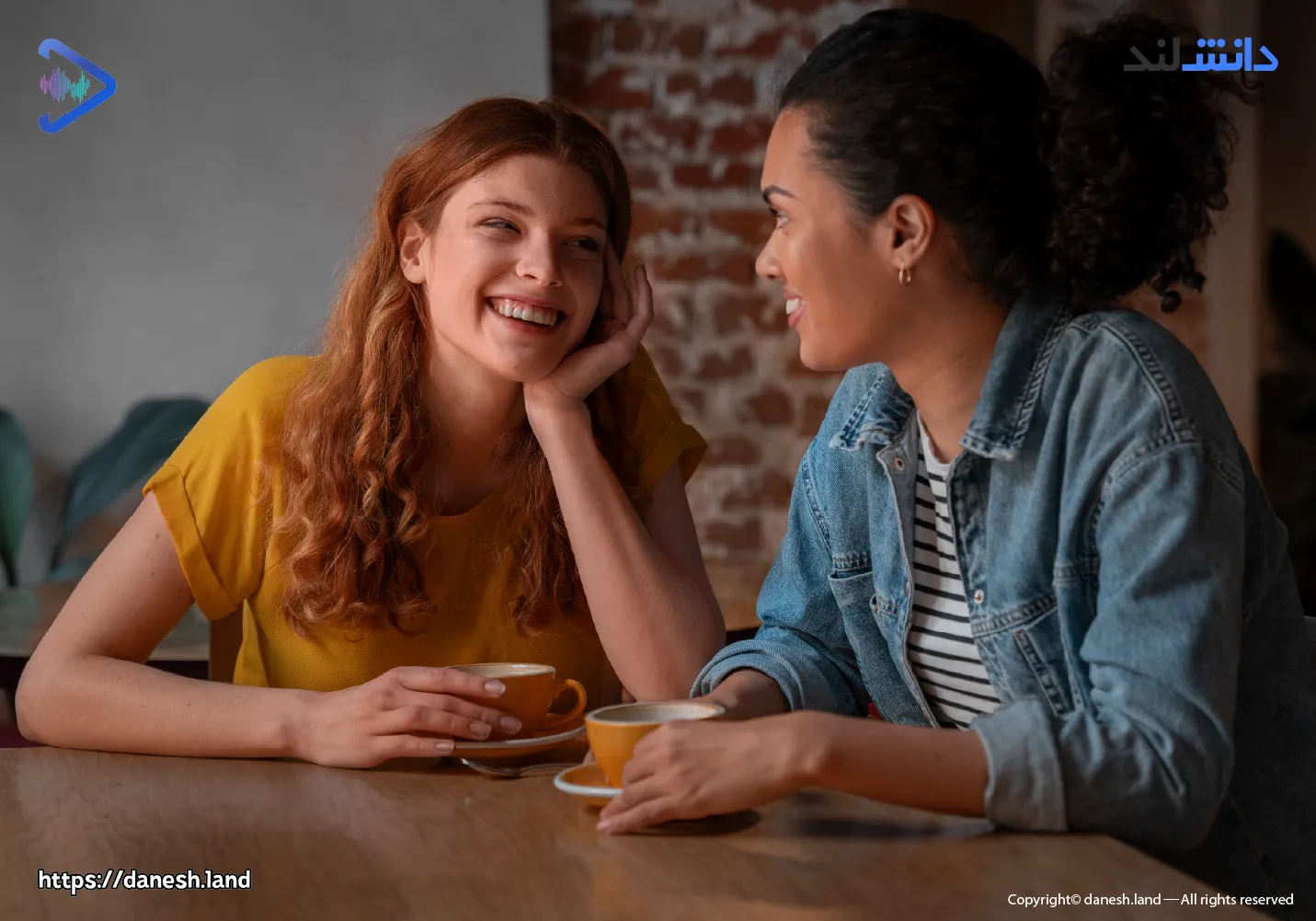 آموزش لغات انگلیسی در مکالمات روزمره - بخش Friendly Conversation - دانش لند